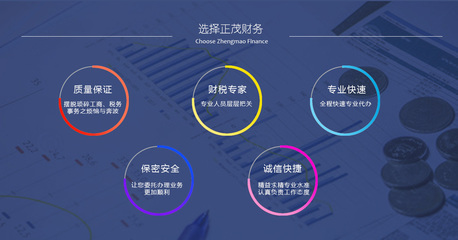 廣東正茂財務(wù)咨詢 專業(yè)財務(wù)解決方案的可靠伙伴